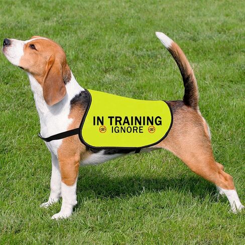 CENWA in Training Ignore Dog Jacket Vest Dog in Training Nervous Anxious Dog Slogan Warning Vest (Training Ignore M) in Saudi Arabia