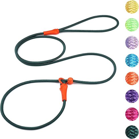 dafuen 6 قدم الكلب زلة الرصاص الكلب المقود الكلب التدريب الكلاسيكي المقود خفيفة الوزن دائم زلة يؤدي للكلاب عدم سحب زلة المقود وطوق مقود الكلب للكلاب الصغيرة المتوسطة in Kuwait