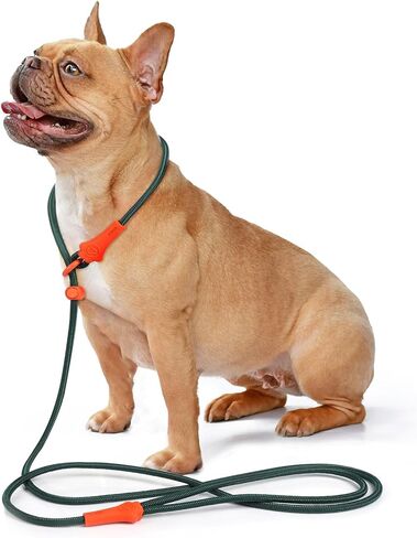 dafuen 6 قدم الكلب زلة الرصاص الكلب المقود الكلب التدريب الكلاسيكي المقود خفيفة الوزن دائم زلة يؤدي للكلاب عدم سحب زلة المقود وطوق مقود الكلب للكلاب الصغيرة المتوسطة in Kuwait