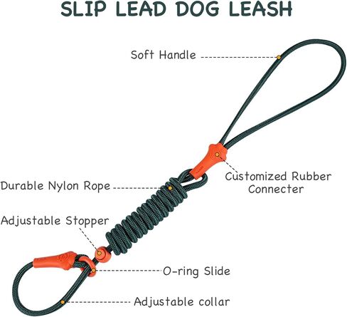dafuen 6 قدم الكلب زلة الرصاص الكلب المقود الكلب التدريب الكلاسيكي المقود خفيفة الوزن دائم زلة يؤدي للكلاب عدم سحب زلة المقود وطوق مقود الكلب للكلاب الصغيرة المتوسطة in Kuwait