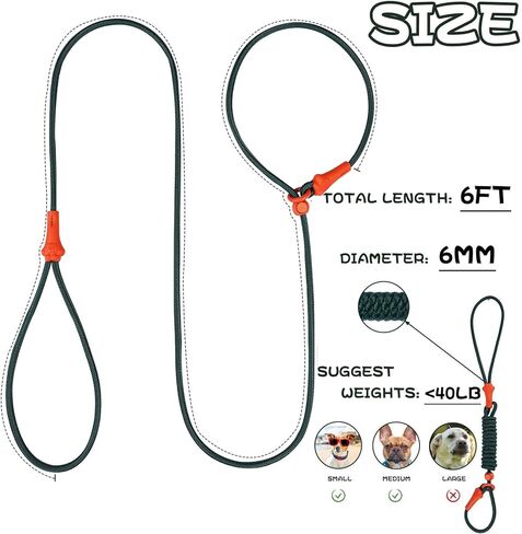 dafuen 6 قدم الكلب زلة الرصاص الكلب المقود الكلب التدريب الكلاسيكي المقود خفيفة الوزن دائم زلة يؤدي للكلاب عدم سحب زلة المقود وطوق مقود الكلب للكلاب الصغيرة المتوسطة in Kuwait