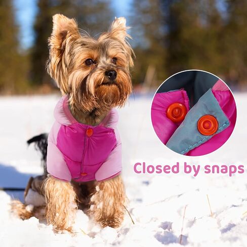 FUAMEY Dog Winter Coat,Puppy Puffer Jacket Warm Padded Pet Snow Vest Cute Windproof Dog Clothes Doggy Warm Waterproof Outdoor Lightweight Small Dog Hoodie,Chihuahua Poodles Yorkshire Pet Apparel S/12 in Saudi Arabia