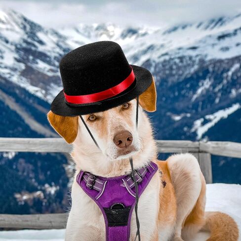 2pcs Pet Hat Halloween Dog Bowler Hat Adjustable Puppy Cap Black Mini Party Hat for Small Dogs Cat kitten Puppy Costume Accessories - Red & Green Ribbons in Saudi Arabia