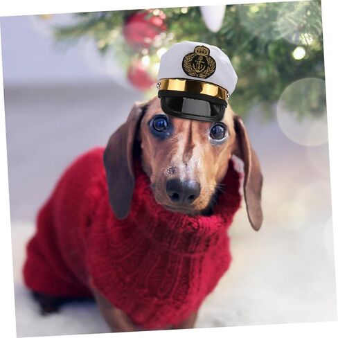 BESTOYARD Headpiece Kitten Accessories Helmet Accessories Cosplay Accessories Pet Dress up Dog Cap Dog Sun Hat Pet Hat Puppy Posing Clothing Photo Dog Hat Halloween Costumes Dog Helmet in Saudi Arabia