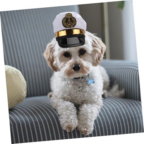 BESTOYARD Headpiece Kitten Accessories Helmet Accessories Cosplay Accessories Pet Dress up Dog Cap Dog Sun Hat Pet Hat Puppy Posing Clothing Photo Dog Hat Halloween Costumes Dog Helmet in Saudi Arabia