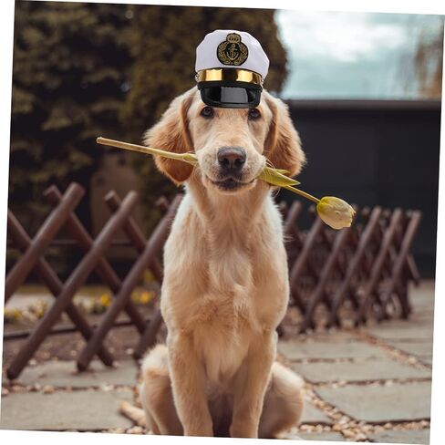 BESTOYARD Headpiece Kitten Accessories Helmet Accessories Cosplay Accessories Pet Dress up Dog Cap Dog Sun Hat Pet Hat Puppy Posing Clothing Photo Dog Hat Halloween Costumes Dog Helmet in Saudi Arabia