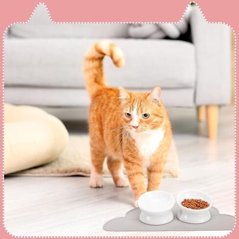 2 Pcs Ceramic Elevated Cat Bowls 15° Ceramic Tilted Cat Bowls with Silicone Non Slip Mat Raised Cat Food Water Bowls Set Anti Vomiting Microwave Dishwasher Safe for Indoor Cats Dogs, White in Kuwait