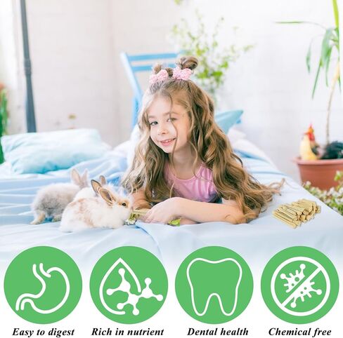 1000g/2.2lb Sweet Bamboo Sticks for Rabbits, Rabbit Chew Toys Bunny Chew Toys Rabbit Chew Sticks, Molar Snacks for Small Animals, Hamsters, Chinchillas, Guinea Pigs, Natural Teeth Grinding Toys in Saudi Arabia