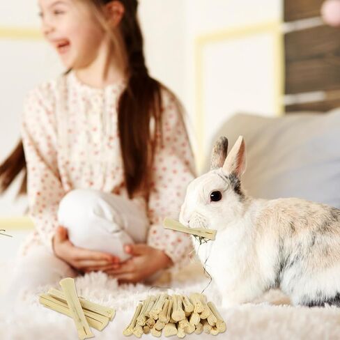 1000g/2.2lb Sweet Bamboo Sticks for Rabbits, Rabbit Chew Toys Bunny Chew Toys Rabbit Chew Sticks, Molar Snacks for Small Animals, Hamsters, Chinchillas, Guinea Pigs, Natural Teeth Grinding Toys in Saudi Arabia