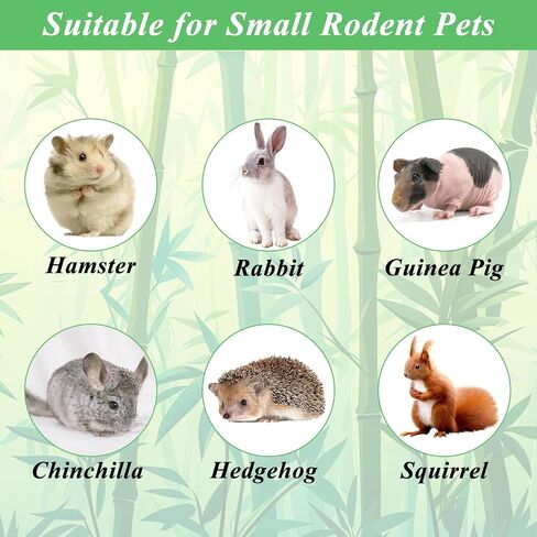 1000g/2.2lb Sweet Bamboo Sticks for Rabbits, Rabbit Chew Toys Bunny Chew Toys Rabbit Chew Sticks, Molar Snacks for Small Animals, Hamsters, Chinchillas, Guinea Pigs, Natural Teeth Grinding Toys in Saudi Arabia