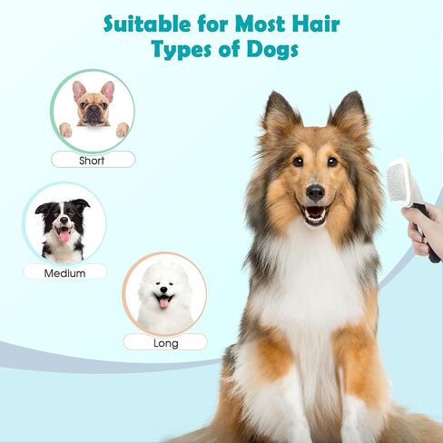 Slicker Brush, PETPAWJOY Dog Brush Green Gently Cleaning Pin Brush for Shedding Dog Hair Brush for Small Dogs Puppy Yorkie Poodle Rabbits Cats Green in Saudi Arabia