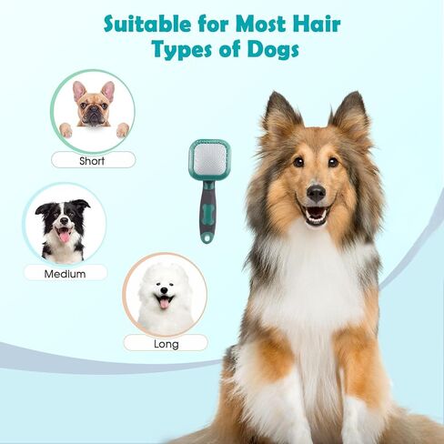 Slicker Brush, PETPAWJOY Dog Brush Green Gently Cleaning Pin Brush for Shedding Dog Hair Brush for Small Dogs Puppy Yorkie Poodle Rabbits Cats Green in Saudi Arabia