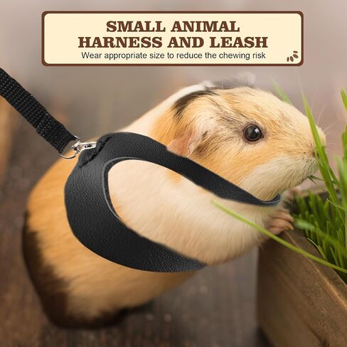 3Pcs Sugar Gilder Harness and Leash Set, Adjustable Squirrel Harness Small Animal Training Walking Vest for rabbit, Guinea Pigs, Bearded Dragon (Black) in Saudi Arabia