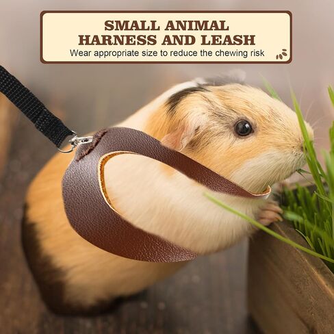 3Pcs Sugar Gilder Harness and Leash Set, Adjustable Squirrel Harness Small Animal Training Walking Vest for rabbit, Guinea Pigs, Bearded Dragon (Black) in Saudi Arabia