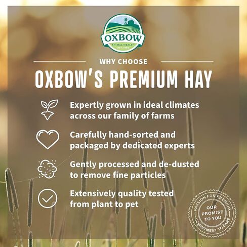 Oxbow صحة الحيوان Oxbow Hay Blends - تيموثي الغربي والبستان - 20 أوقية. in Kuwait