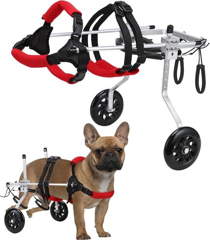 Cat Wheelchair for Back Legs, Light Weight Pet/Doggie Wheelchairs, Small Dog Wheelchair Helps Dogs with Back Leg Disabilities Walk and Play, S in Saudi Arabia