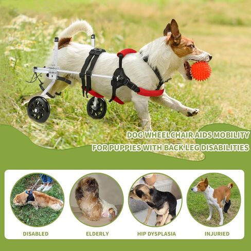Cat Wheelchair for Back Legs, Light Weight Pet/Doggie Wheelchairs, Small Dog Wheelchair Helps Dogs with Back Leg Disabilities Walk and Play, S in Saudi Arabia