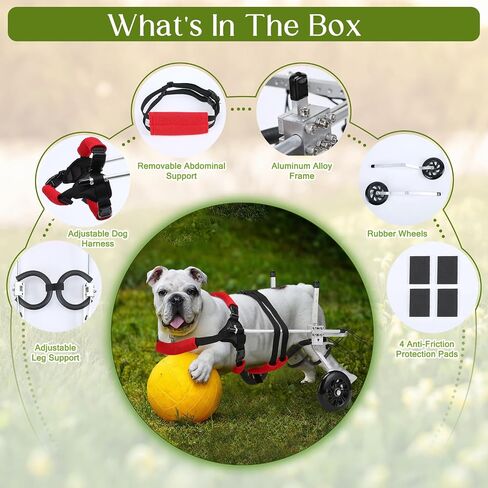 Cat Wheelchair for Back Legs, Light Weight Pet/Doggie Wheelchairs, Small Dog Wheelchair Helps Dogs with Back Leg Disabilities Walk and Play, S in Saudi Arabia