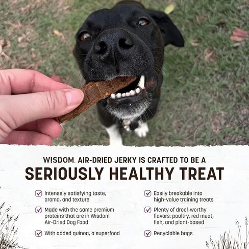 Earth Animal Wisdom Air-Dried Jerky from The Seed Recipe | Dog Treats | Dog Snacks | Premium Natural Plant-Based Jerky Strips | 4 oz |Made in The USA (Pack of 3) in Saudi Arabia