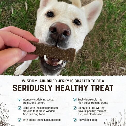 Earth Animal Wisdom Air-Dried Jerky from The Seed Recipe | Dog Treats | Dog Snacks | Premium Natural Plant-Based Jerky Strips | 4 oz |Made in The USA (Pack of 3) in Saudi Arabia