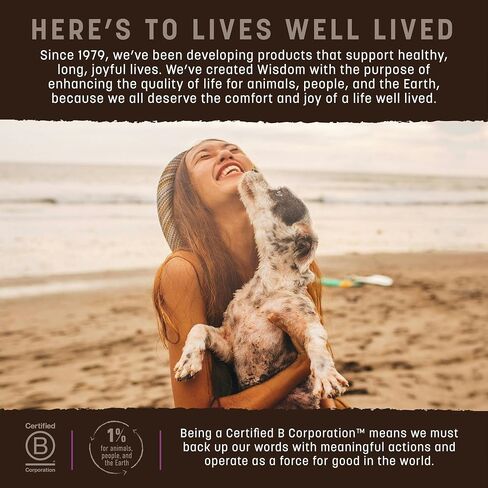 Earth Animal Wisdom Air-Dried Jerky from The Seed Recipe | Dog Treats | Dog Snacks | Premium Natural Plant-Based Jerky Strips | 4 oz |Made in The USA (Pack of 3) in Saudi Arabia