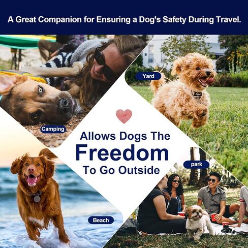 Dog Tie Out Cable - 20/30/40/50 FT Heavy Duty Steel Wire Leash Cable with Metal Chain - Training Tether for Dogs Up to 100 Pounds - Reflective Dog Tether for Yard, Camping, Park (Blue Red, 30ft) in Saudi Arabia