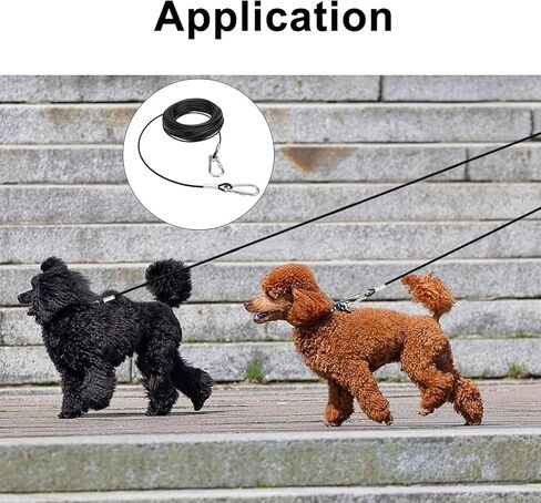 كابل ربط للكلاب، مقود للكلاب الكبيرة يصل وزنها إلى 300 رطل، شديد التحمل ومقاوم للصدأ، مناسب للساحات الخارجية والتخييم، بطول 100 قدم in Kuwait