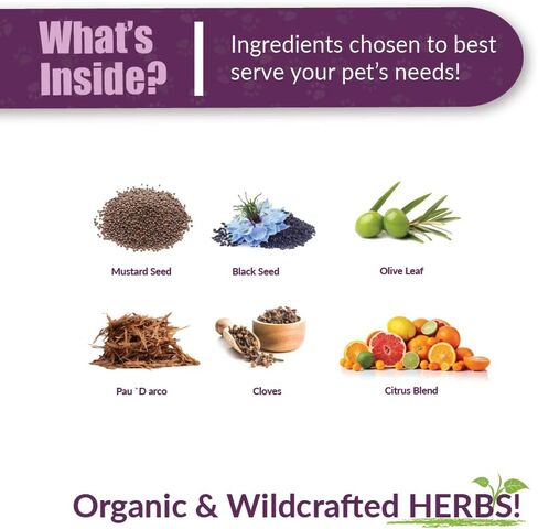 العنبر NaturalZ Tossa K Kennel Bark المكملات العشبية للكلاب والجراء | مزيج عشبي للكلاب لصحة الجهاز التنفسي | زجاجة سعة 4 أونصة سائلة | مكونات من مصادر عالمية | صنع في الولايات المتحدة الأمريكية in Kuwait