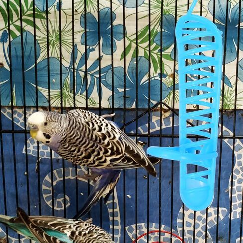 Mipcase Bird Food Holder, Hanging Fruit Feeder Bird Food Basket Parakeet Treats Holder Parrot Foraging Toy for Bird Cage Accessories (Blue) in Saudi Arabia