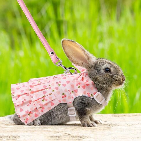 مجموعة مقود وحزام أرنب قابل للتعديل، فستان أرنب أرنب، ملابس أرنب للحيوانات الأليفة الصغيرة، خنزير غينيا، السنجاب، الهامستر (الكرز الوردي/M) in Kuwait