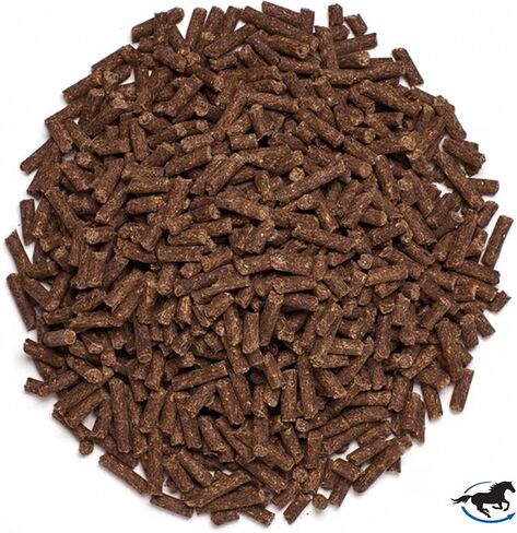 SmartPak الكريات الذكية المضادة للأكسدة بتركيبة فيتامين C وE | مستخلص بذور العنب والفلافونويدات الحيوية الحمضية، مكمل غذائي للخيول الكبيرة والخيول عالية الأداء، 56 وجبة، كيس بوزن 5 رطل in Kuwait