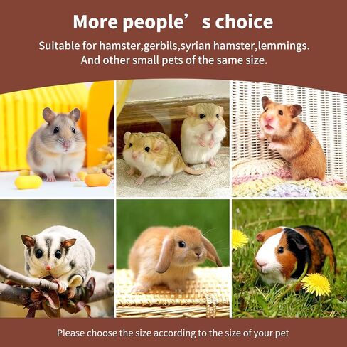 Hamster Bed,Soft and Warm Sleeping Bed with Cute Printed and Padded,Small Animal Pet Bed Cage Accessories for Hedgehog,Guinea Pig,Syrian Hamster Small Animals(L) in Saudi Arabia