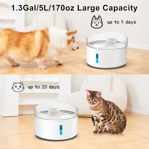 DF20 1.3Gal/5L Dog Water Fountain with Adjustable Brightness and Controllable Water Pump for Cats, Dogs, and Multiple Pets in Saudi Arabia