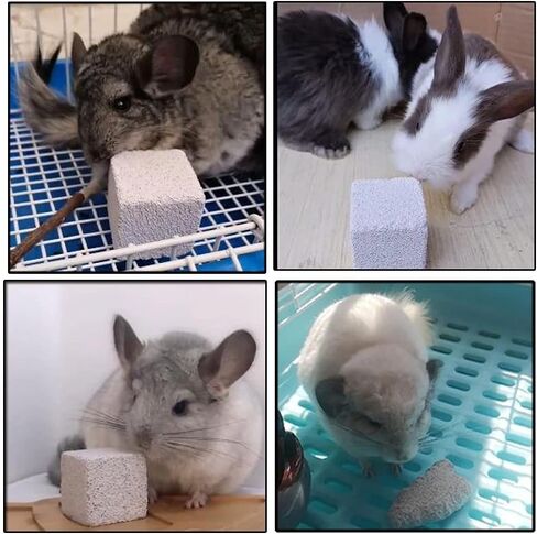 Hamster Teeth Grinding Lava Block, 6 Pack Hamster Chinchilla Chew Stones, Natural Teeth Molar Toys Grinder for Small Animals Rodents Hamster Rabbit Guinea Pig Rodent Parrot - 3 cm Cube… in Saudi Arabia