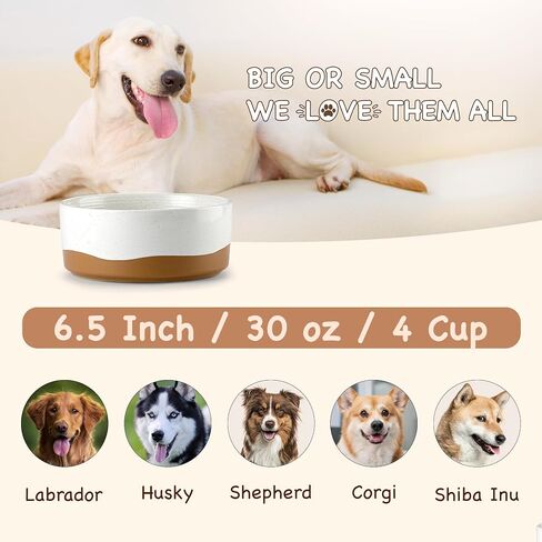 Lareina Ceramic Food Grade Dog Bowls, Dishwashers Safe, 4 Cups Food and Water Bowls for Pet, Dog Bowl Set with Double Non-Slip Wood Stand 30oz, 6.5 Inch Slow Food Bowl for Medium Large Sized, White in Saudi Arabia