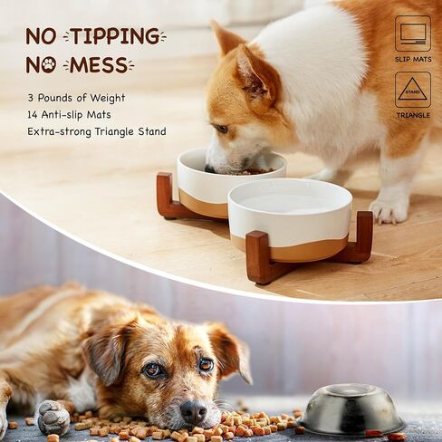 Lareina Ceramic Food Grade Dog Bowls, Dishwashers Safe, 4 Cups Food and Water Bowls for Pet, Dog Bowl Set with Double Non-Slip Wood Stand 30oz, 6.5 Inch Slow Food Bowl for Medium Large Sized, White in Saudi Arabia