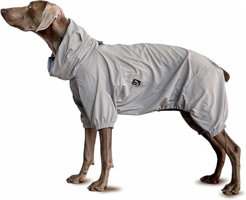 Dog Lightweight Windbreaker, Pet Outdoor Sports Jacket, 0.5 lbs,3 in One, Hooded, Easy on/Off with Collar and Harness, Reflective Piping, Packable, Dog Hiking/Camping, Grey-Medium in Saudi Arabia