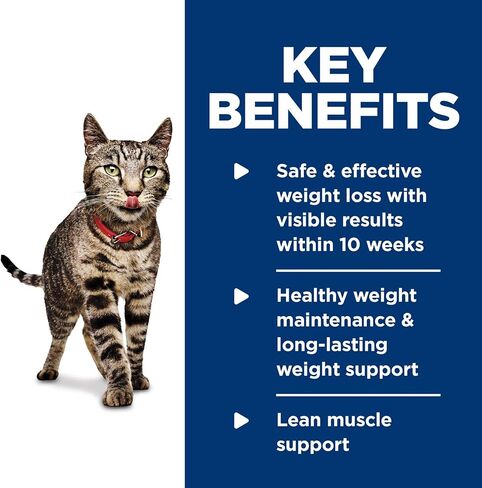 Hill's Science Diet Perfect Weight, Adult 1-6, Weight Management Support, Wet Cat Food, Variety Case: Liver & Chicken Minced; Chicken Stew, 2.9 oz Can Variety Case, Case of 24 in Saudi Arabia