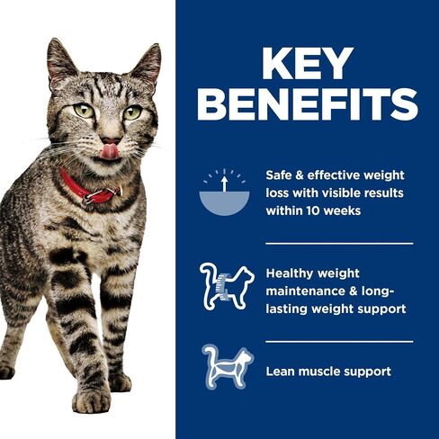 Hill's Science Diet Perfect Weight, Adult 1-6, Weight Management Support, Wet Cat Food, Variety Case: Liver & Chicken Minced; Chicken Stew, 2.9 oz Can Variety Case, Case of 24 in Saudi Arabia