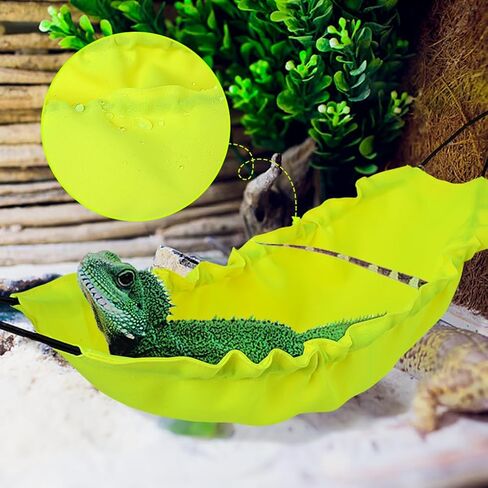 أرجوحة السحلية من FineInno مع أكواب شفط وإكسسوارات خزان التنين الملتحي للزواحف للحرباء والثعابين وزواحف Lguana والأبراص والهامستر in Saudi Arabia