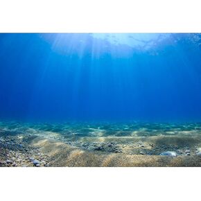 Aquarium Background Undersea Ocean Floor Aquarium Background Mysterious Underwater Sunshine Tropical Fish Tank Background Fish Tank Background Decor Vinyl 36x18in