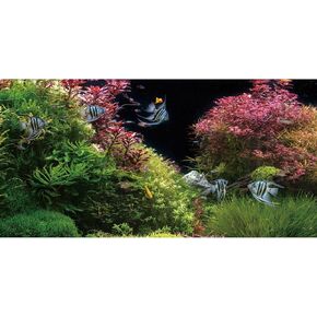 AWERT 48x24 inches Seagrass Aquarium Background Pink Aquatic Plant River Bed & Lake Fish Tank Background Vinyl Background