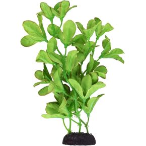 Underwater Treasures Silk Bacopa Monnieri - 8"