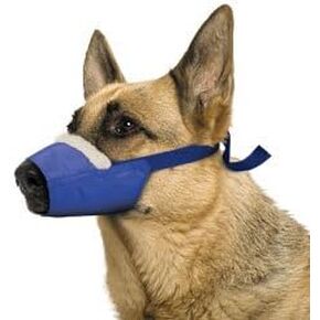 XLarge Cozy Quick Muzzle Blue