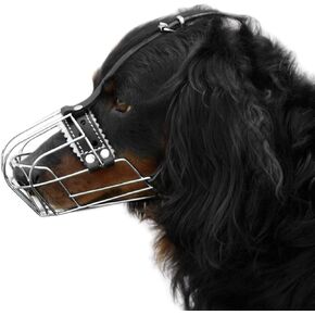 PetriStor №2 Dog Chrome Metal Muzzles Wire Basket Adjustable Leather Straps Сircumference is 7-9 in, The Length is 2.7-3.1 in