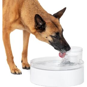 PetSafe Outlast Pumpless Water Fountain 128 oz – Multi-Pet and Dog Water Fountain - Dishwasher Safe, Easy Assembly and Cleaning, Water Filter Included