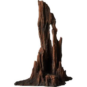 Underwater Treasures Petrified Wood - Large