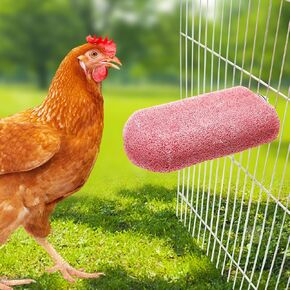 Chick Chewing Toys, Bird Calcium Teeth Chew Toy, Chicken Cage Accessories, Grinding Stone for Cockatiels Parakeets Parrots Budgies Rat Hamster Rabbit Bunny African Grey