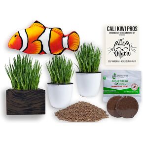 Cali Kiwi Organic Self-Watering Cat Grass Kit-Indoor Grass for Cats with Interactive Flippy Fish Cat Toy (Wicker Brown)