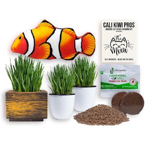 Cali Kiwi Organic Self-Watering Cat Grass Kit-Indoor Grass for Cats with Interactive Flippy Fish Cat Toy (Wicker Brown)